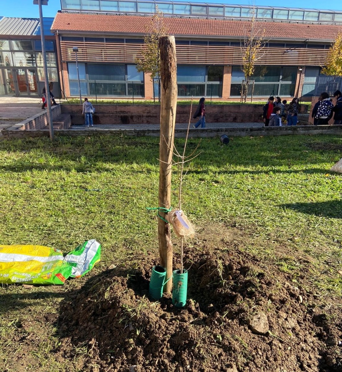 Festa dell'albero alla secondaria 